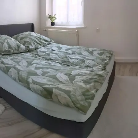 Pejta * Chojnice